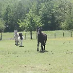 Le Petit Durbec * La Force (Dordogne)
