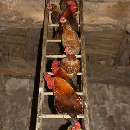 Prázdninový dům Le Petit Durbec La Force (Dordogne)