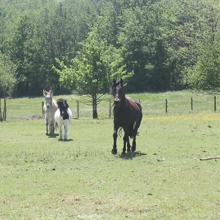 Le Petit Durbec * La Force