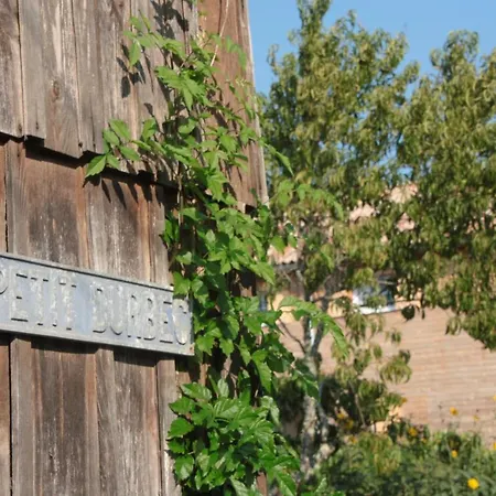 Le Petit Durbec * La Force (Dordogne)