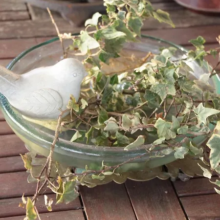 Feriehus Le Petit Durbec La Force (Dordogne)