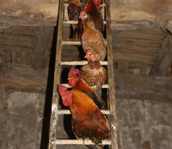 Hébergement de vacances Le Petit Durbec La Force (Dordogne)