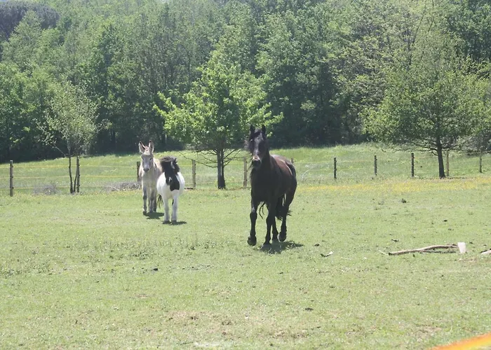 Le Petit Durbec * La Force (Dordogne)