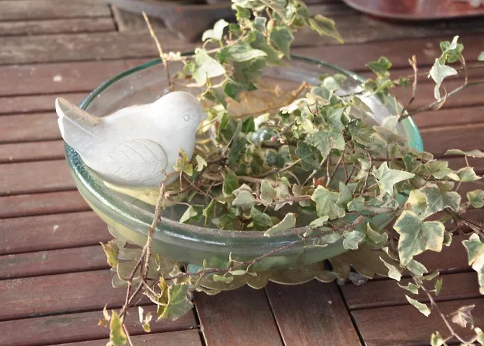 Vakantiehuis Le Petit Durbec La Force (Dordogne)